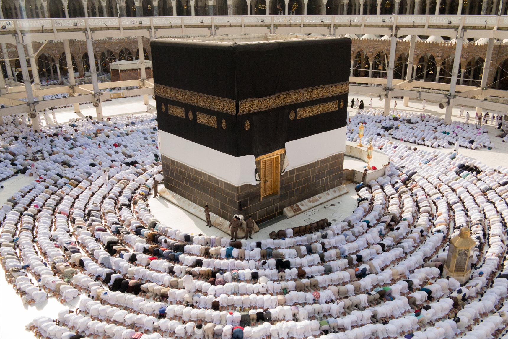 المدينة المنورة